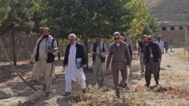 UN Efforts to Provide Alternative Crops to Afghan Farmers