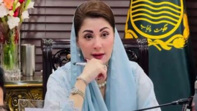 Pakistan's economy is developing, claims Maryam Nawaz