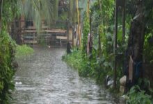 Nagalagamweediya Faces Minor Flooding as Kelani River Overflows