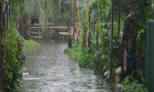 Nagalagamweediya Faces Minor Flooding as Kelani River Overflows