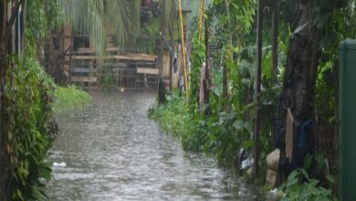 Nagalagamweediya Faces Minor Flooding as Kelani River Overflows