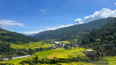 Punakha—Farmers in Punakha are grappling with a confluence of challenges, from water shortages, unpredictable rainfall, and scarcity of labour to rising daily wages. The shortage of farm labourers has forced many farming households to leave their otherwise fertile agriculture land fallow. According to the 2019 RNR Census by the National Statistics Bureau, Punakha Dzongkhag alone had 597.4 acres of fallow land. Agricultural production has been heavily impacted by fallow lands across the country, with the harvested area for paddy shrinking from 53,055 acres in 2016 to just 23,290 acres in 2023. More than 66,000 acres of farmland remains uncultivated across the country. Agriculture Minister Younten Phuntsho said that while many factors contribute to this problem, the shortage of farm labour is the main culprit for this troubling trend. Lyonpo said that the Ministry of Agriculture and Livestock is implementing a series of strategic initiatives aimed at revitalising fallow land and boosting agricultural productivity. One such initiative involves engaging day labourers from across the border for farming in the border districts to start with. This approach, Lyonpo said, will alleviate the financial burden of high domestic labour costs. “Given the wage differences, importing cross-border labour will be more affordable,” the minister said. Though the ministry is optimistic, it remains to be seen whether the import of seasonal foreign labour will effectively address the shortage. “We can only assess its impact post-implementation,” he added. The Ministry will pilot the employment of seasonal day workers from this year. This decision follows consultations with relevant stakeholders, including the Ministry of Home Affairs and the Ministry of Industries, Commerce, and Employment. A task force is being established, and a Standard Operating Procedure (SOP) is under development, which will be submitted to the Cabinet for approval. Employing foreign labour is expected to offer several benefits that go beyond immediate productivity gains. In 2023, Bhutan imported 93,457 metric tonnes of rice valued at Nu. 3.1 billion. By employing foreign workers, the ministry hopes to restore around 3,252 acres of fallow wetland, which could yield an estimated 5,854 metric tonnes of paddy, reducing rice imports by Nu 228 million. The engagement of foreign labour is also expected to reduce reliance on chemical herbicides, which has increased due to the lack of domestic farm workers. This strategy is also expected to reduce rural-urban migration by addressing labour shortages and revitalising unused land. The agriculture minister said that while allowing seasonal labour is considered for implementation as a sandbox model, the ministry is exploring other solutions, including farm mechanisation. If the proposed JICA-ODA loan is secured, Nu 3.5 billion will be invested to procure over 14,000 agricultural machines to enhance farming efficiency. The ministry also plans to offer concessional loan products to farmers to procure essential agricultural machinery. However, the minister cautioned that mechanisation alone cannot fully address the labor shortage, as many agricultural tasks—such as weeding, vegetable harvesting, irrigation, and packaging—still require manual intervention Bhutan’s rugged terrain makes widespread mechanisation challenging. To overcome these obstacles, the ministry is promoting collective farming in larger command areas, aiming to enhance economies of scale in both production and labour productivity. This collaborative approach will encourage farmers to work in groups and cooperatives, leading to increased commercial farming. Shifting focus to high-value, low-labour crops is another strategy under consideration. Commodities such as asparagus, cardamom, and strawberries require less labour while offering greater returns compared to traditional crops like paddy. Engaging youth in agriculture is also a key priority for the ministry. Lyonpo said that various programmes are being developed to make farming an attractive and viable career path for young people. These initiatives include modern farming training, financial incentives, and support for agribusiness ventures. “Through these measures, the ministry hopes to reduce rural depopulation and curb unemployment in urban areas,” the minister said. In addition, the ministry is exploring agritech innovations to modernise Bhutanese farming, which has traditionally relied on low-tech methods. Plans include the use of drones for crop monitoring and fertilizer application. Two model farms will be established to demonstrate the latest in modern agricultural techniques.