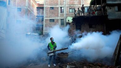 Dengue cases persist in Nepal despite cooler weather