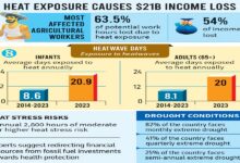 Heat exposure cuts labour capacity, causes $21b income loss in Bangladesh: Lancet report