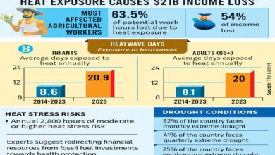 Heat exposure cuts labour capacity, causes $21b income loss in Bangladesh: Lancet report