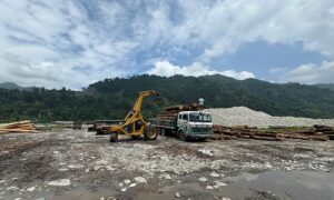 Bhutan Govt. targets to extract 10.7 million cft of timber for export