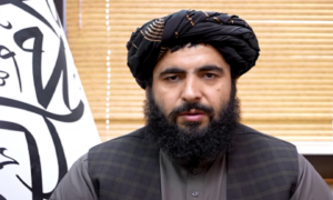 Islamic Emirate: 'No Threats to Other Countries From Afghanistan'