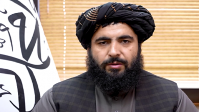 Islamic Emirate: 'No Threats to Other Countries From Afghanistan'