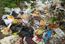 Thimphu’s food scraps pile up while plastic steals the spotlight