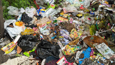 Thimphu’s food scraps pile up while plastic steals the spotlight