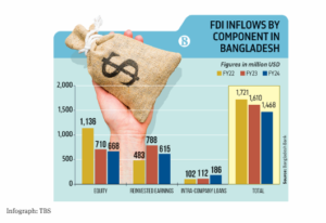 FDI drops by 8.8% in FY24 amid economic volatility