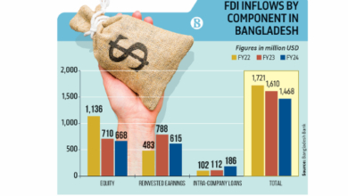 FDI drops by 8.8% in FY24 amid economic volatility