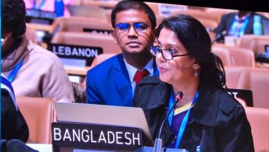 COP29: Rizwana urging grant-based allocations in climate finance negotiations