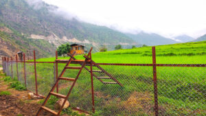 Bhutan Govt. to invest Nu 5.1 billion in chain-link fencing to address human -wildlife conflict in 13th Plan