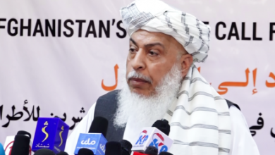 Stanikzai Calls for UN Seat for Islamic Emirate