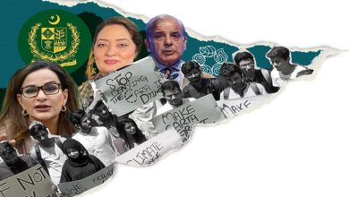 Climate politics taking shape in Pakistan, gets focus on polls pledges