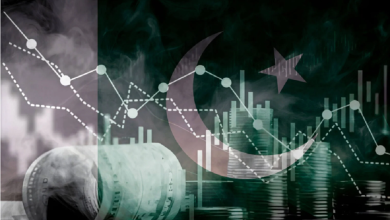 'Pakistan's economy on the path to stability'