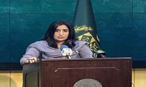 US statement on missile program baseless: Pakistan