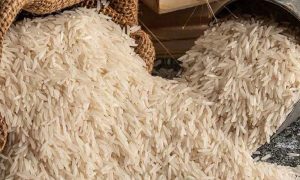 India approaches European Court over Basmati