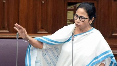 Mamata mocks Rizvi over 'occupy Bengal, Odisha' threat: 'And will we have lollipops?'