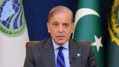 Pakistani PM Reiterates Claims of TTP Activity in Afghanistan