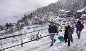 Himachal hit by snow, 5,000 tourists stranded due to snowfall
