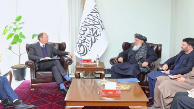 Expanding Relations Between Islamic Emirate, UK Discussed