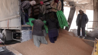 Afghan ministry finalizes purchase of 38,000 tons of wheat