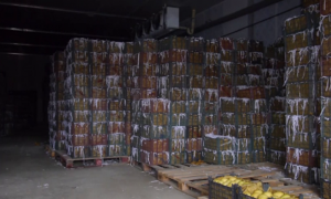 China to Establish 3 Modern Cold Storage Facilities in Afghanistan