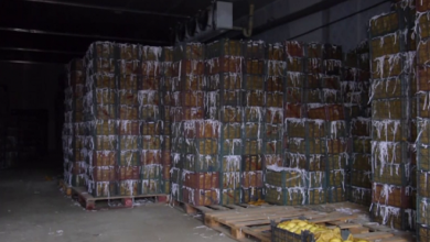 China to Establish 3 Modern Cold Storage Facilities in Afghanistan