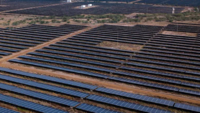 Adani Group Says Sri Lanka Wind Power Projects Not Cancelled, Denies Reports