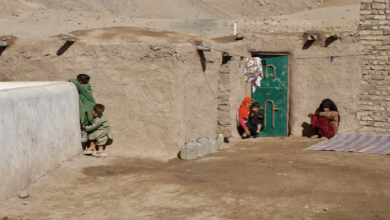 "Just bread and tea": WFP says aid cuts to Afghanistan leave millions hungry this winter