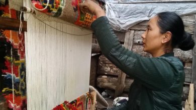 Tibet border reopened. Women in Taplejung dusted off their looms and got back to weaving
