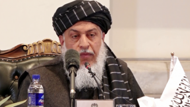 Stanikzai: Non-Interference in Countries' Affairs is Policy