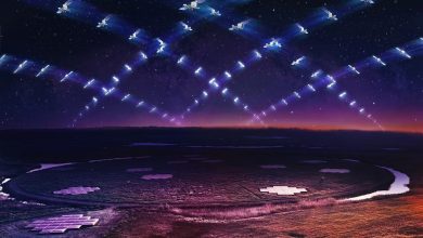 Starlink’s entry to Bhutan brings promise and concerns