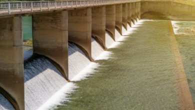 Bhutan seeks jt venture investment with BD on hydropower