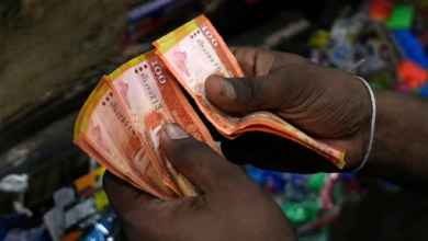 Sri Lanka's budget likely to lead to slower fiscal consolidation, Moody's says