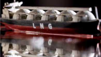 ArcelorMittal Nippon Steel India seeks LNG over 5-year period, say sources