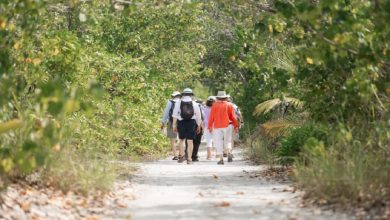 Maldives government to promote special features of islands to boost local tourism