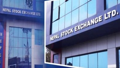 NEPSE sees small gain, finance sector up 1.56%