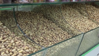 Herat's pistachio exports to Afghanistan reach nearly $25 million this year