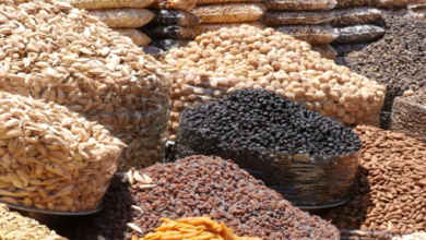 Exports of Afghanistan's Dried Fruit Decline: Ministry