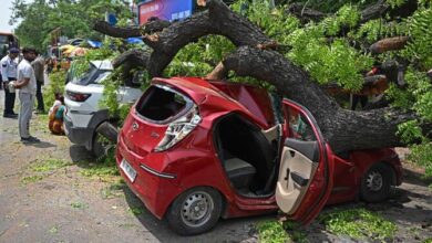 An onlooker stands near a car damaged by an uprooted tree after heavy rainfall and strong winds in New Delhi on May 22, 2025. (AFP)