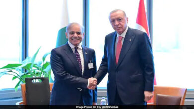 Turkish President Erdogan met Pakistan PM Shehbaz Sharif after the Pahalgam terror attack.