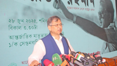 BNP Standing Committee member Salahuddin Ahmed at an event on 28 June. Photo: Focus Bangla