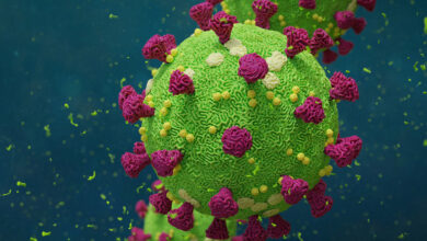 A 74-year-old woman from Kaski, who was suffering from multiple underlying conditions, succumbed to the coronavirus on Sunday.