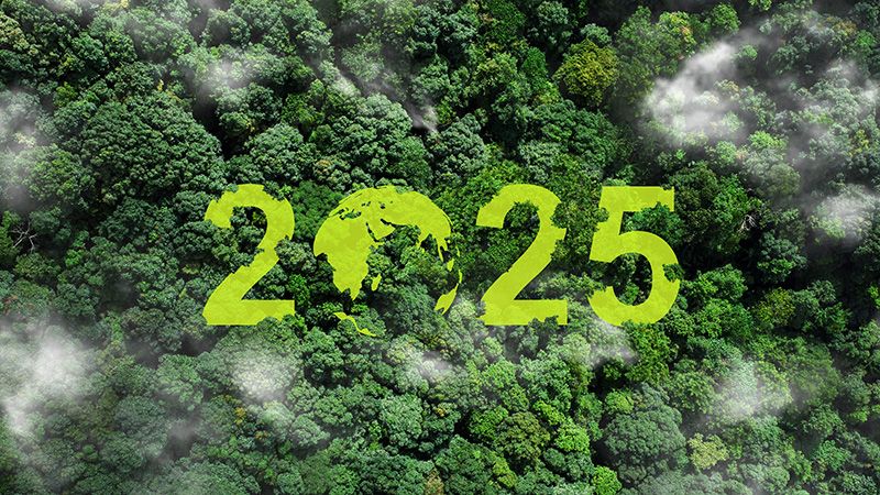 Global South 2025: More synergy needed for a green, sustainable tomorrow